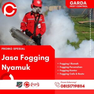 Biaya Fogging 1 rt Bandung City