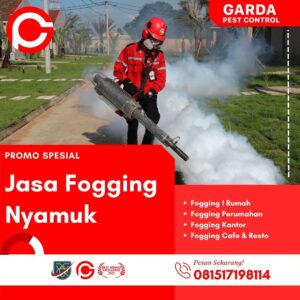 Tukang Fogging Nyamuk di Bandung Kota