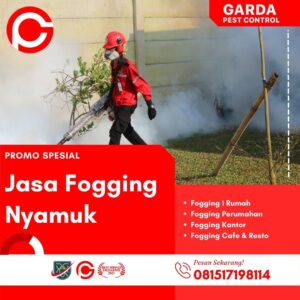 Tukang Fogging Nyamuk di Bandung Utara